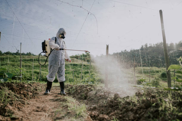Best Ant Control Services  in Union, MS